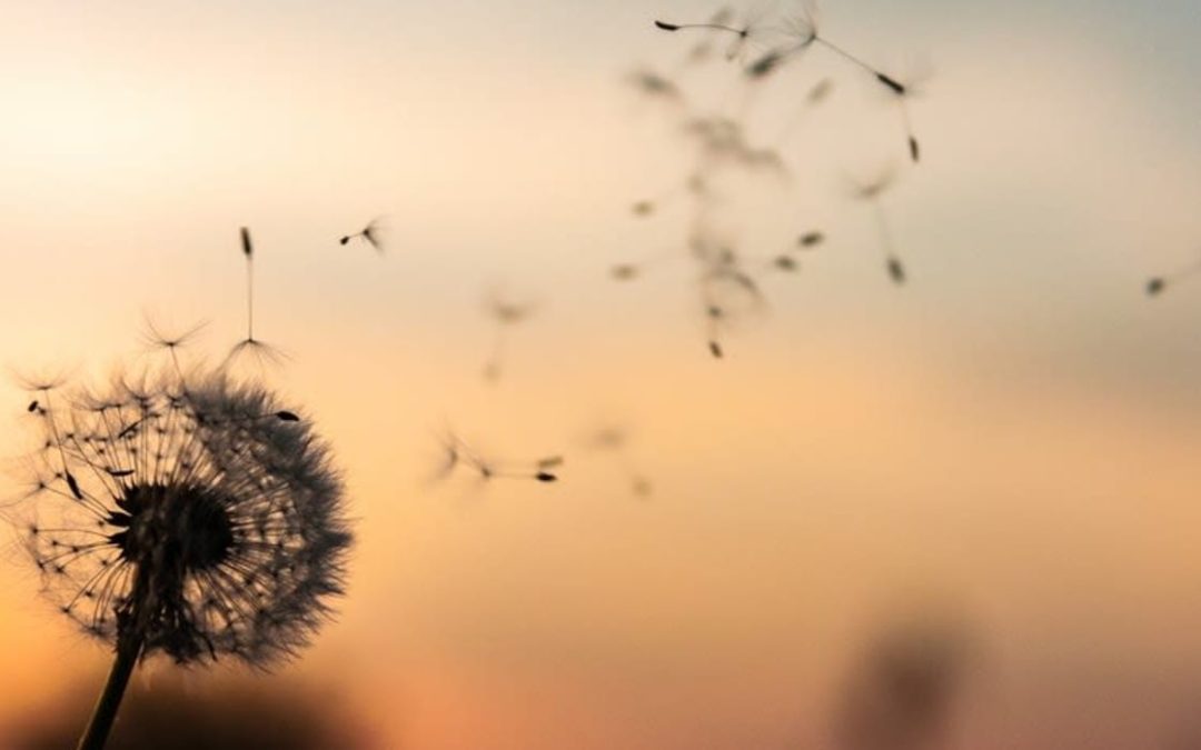 5 ways to Well-being